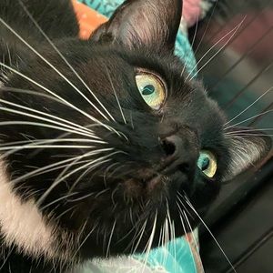 Meet your Posher, Jay